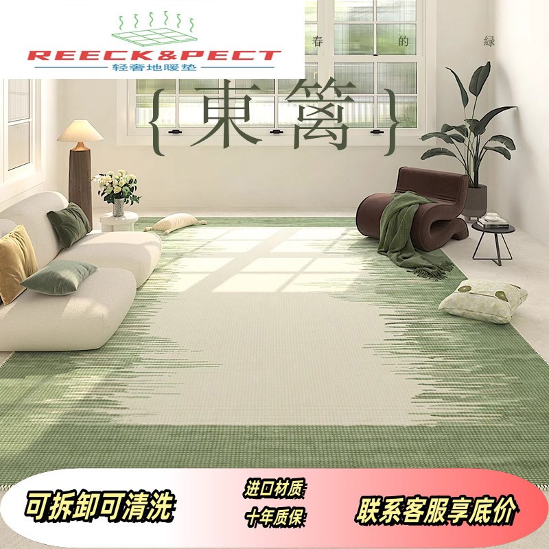 美学进口石墨烯地暖垫可移动发热可拆卸电热地毯客厅可拆洗加热垫