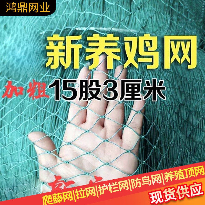 养鸡网防飞网防鸟拦鸡网攀爬围栏爬藤网尼龙网隔离网