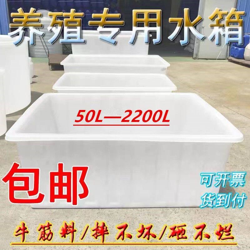 加厚牛筋水箱塑料家用大号水产养殖箱水桶养龟养鱼长盆储水周转箱