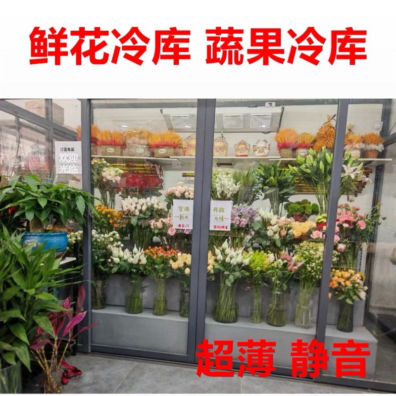 鲜花冷库水果蔬菜冷藏静音超薄制冷机组阴凉柜后补式冷库柜123匹