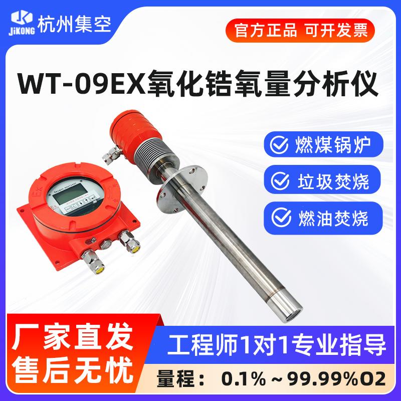 杭州集空WT-09防爆型氧化锆氧量分析仪 探头插入式