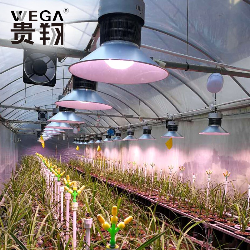 weg贵翔全光谱植物生长灯仿太阳光多肉补光灯大功率LED植物吊灯