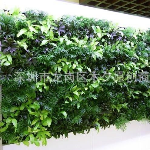 厂家供应 仿真植物墙 家居装饰绿植造景 园林绿化仿真植物墙