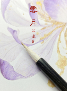 云月笔庄遇见铺色笔绘画水彩插画国画笔细节上色晕色渲染勾描毛笔小号兼毫绘画毛笔山水没骨画笔14cm檀木笔杆