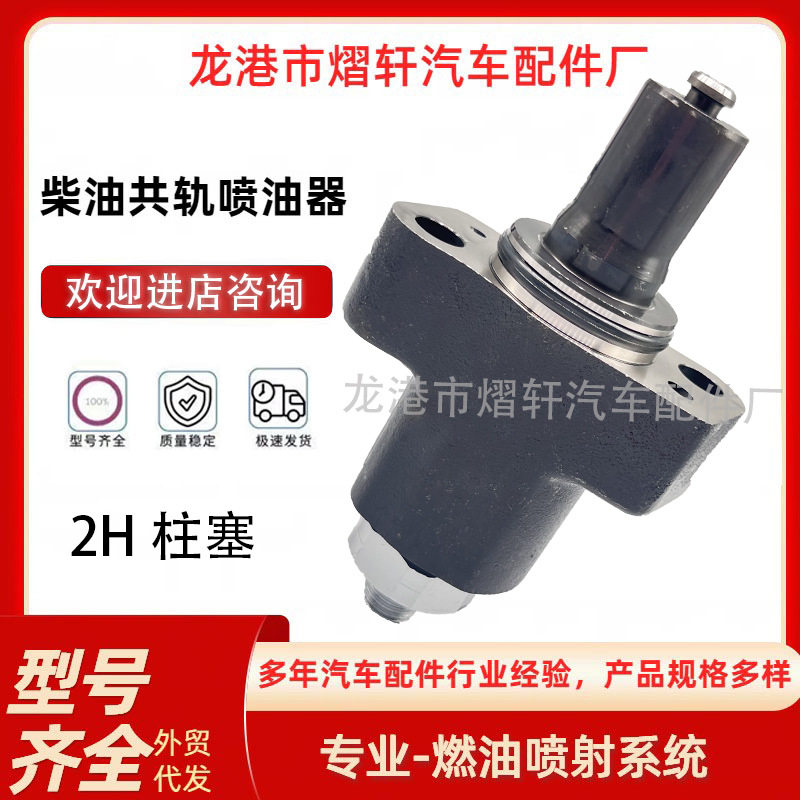 F019D03012高压柴油喷油泵电喷2H柱塞适用潍柴玉柴锡柴江铃高压柱