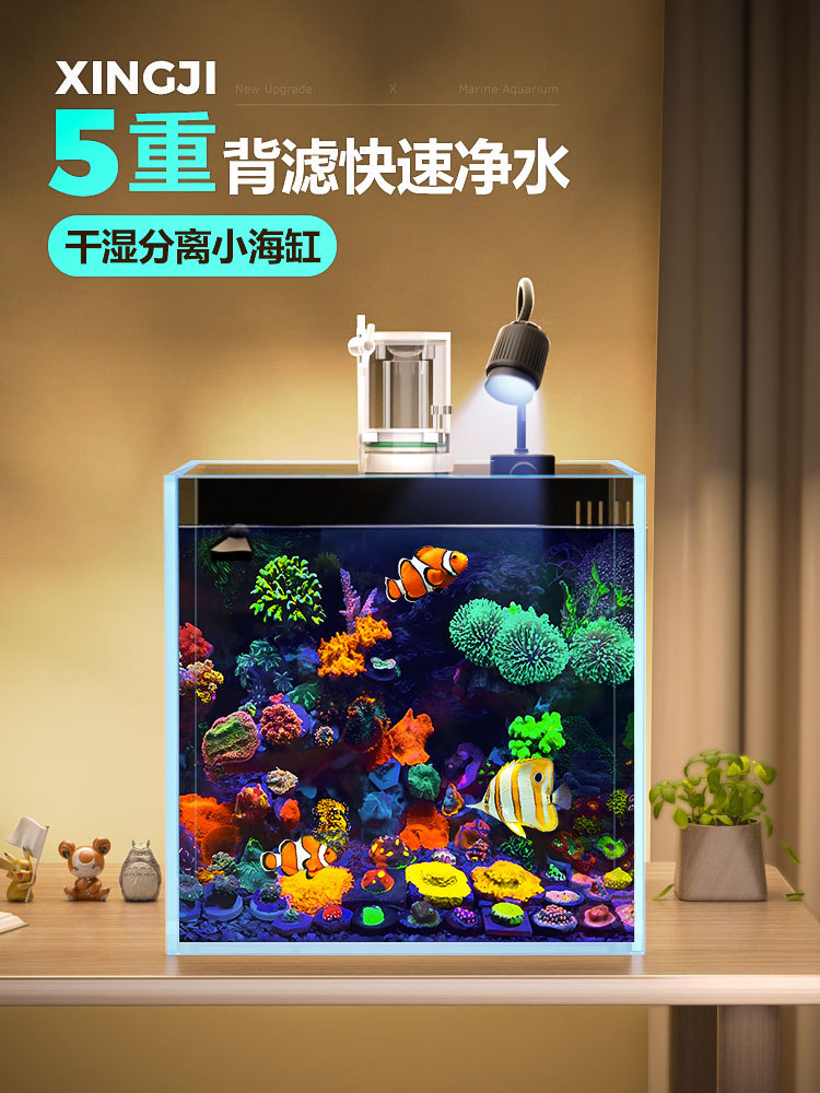 背滤海水缸全套设备客厅小型桌面珊瑚造景方缸白玻璃小丑鱼海缸