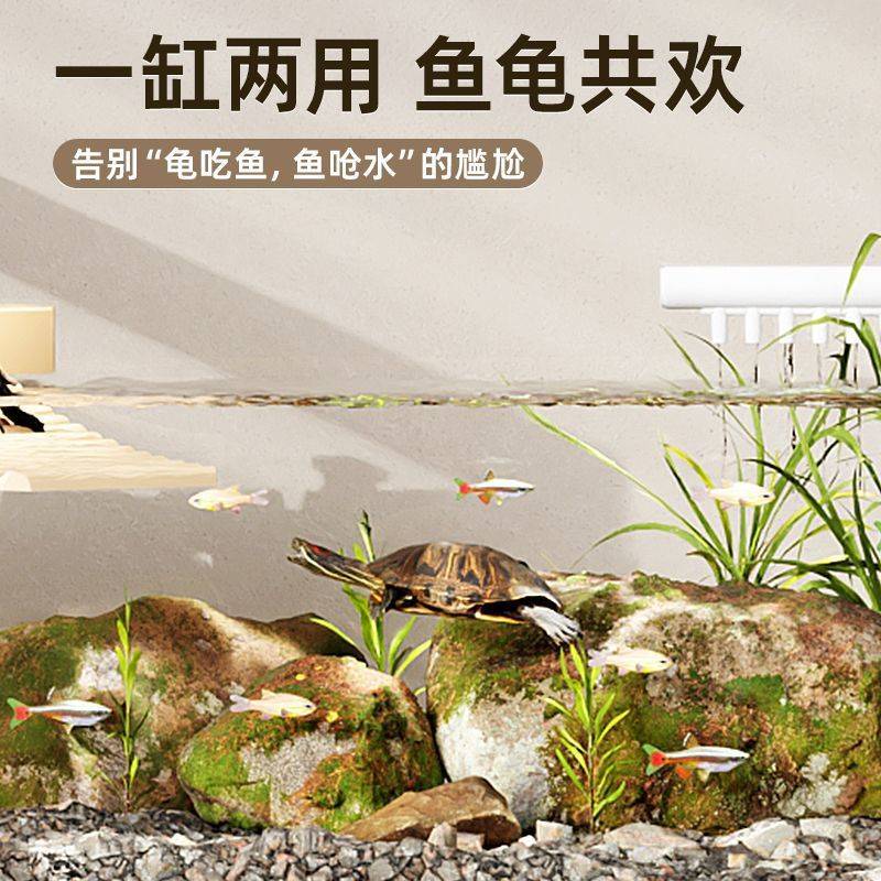 乌龟缸木纹家用生态小别墅超白玻璃混养晒台水陆两用造景饲养缸