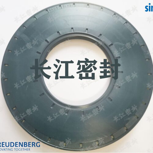 德国SIMRIT CFW BAU5SLX2 65-120-10   95-125 95-145-13骨架油封