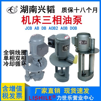 JCB-22湖南45兴韬90油泵180机床AOB2-6冷却DB-25水泵AB-12/DOB-50