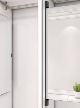 旋OIR置装开门衣橱试拉衣隐形衣柜穿衣镜镜子镜身平推柜内对全镜