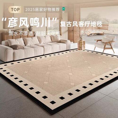 地毯客厅2025新垫款脏法式中古耐沙免洗可擦发卧室床qr170201边地