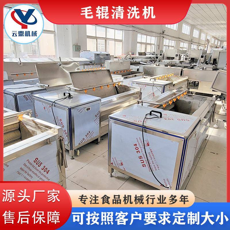 果蔬毛刷清洗VVM机猕猴桃平行机辊清洗机毛苣菜笋莴毛刷去泥去皮