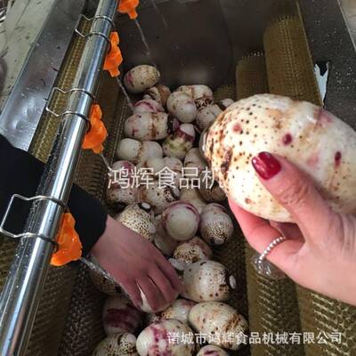 诸城毛刷皮清洗机厂家大芋脱机魔去皮清洗芋机82215省电头效率高