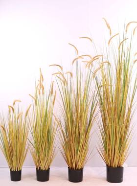 仿真草狗巴芦LHT苇盆景仿生尾立体狗尾草绿植盆栽橱园林造景绿窗