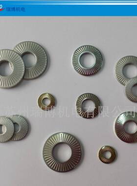 N-FE标25511法垫圈锥面碗型垫圈ASB苏州工厂NEF25-511