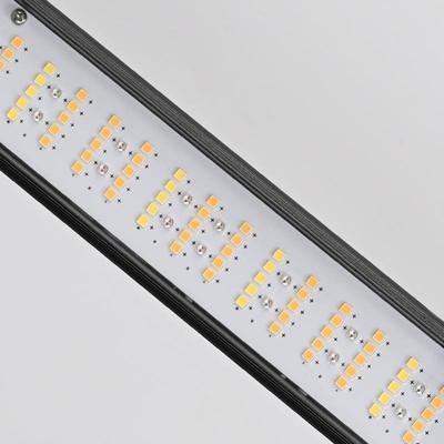 LED株间联灯Wundercanoy植KLQ物灯100全光谱树下底部顶部p补光串