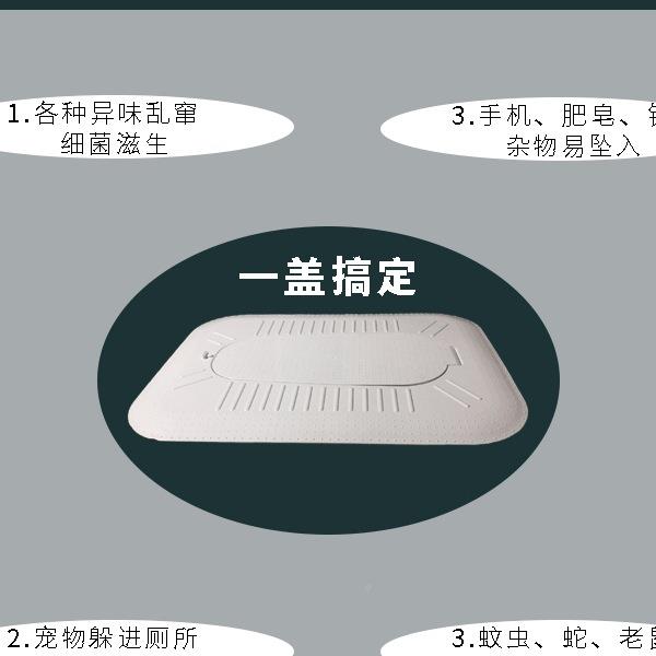 滑蹲便防封澡闭式器盖板蹲坑防臭堵臭器卫生洗厕所挡797间板一健