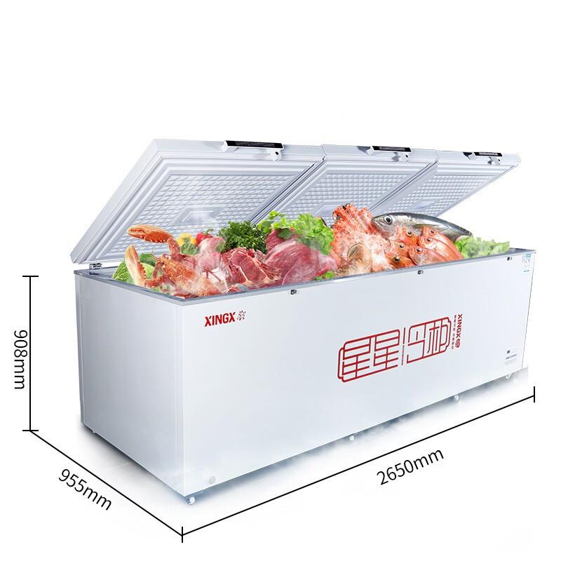 星B星（XNGX商用大容量冷冻柜液I晶温显商用大冷柜）D/BD/BC-13BC