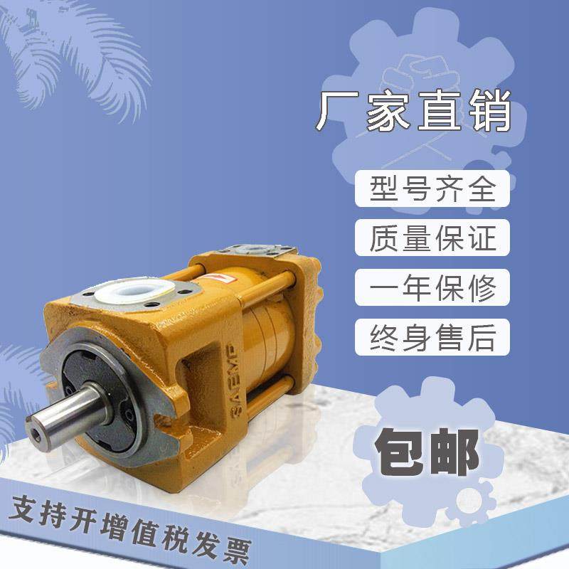 上海航发NFIVB4-G40FG50FG63FNB-G8FG100FG125F内啮合齿轮05泵