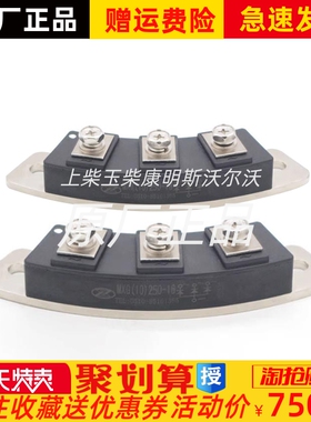 MXG(10)250-16 MXY(10)250-16锡整发电机整流器孔心距150CM原装
