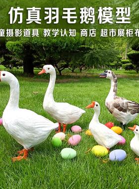 彷真鹅模型拍照大白鹅摆件室内园林草地装饰鹅摄影拍照道具鹅鸭子