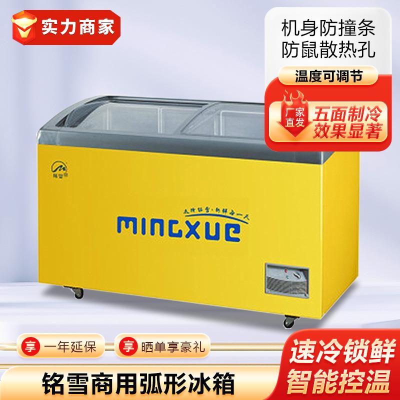 铭雪商用冰箱弧形玻璃移门冰柜雪糕冰激淋柜海鲜展示柜超市冷柜