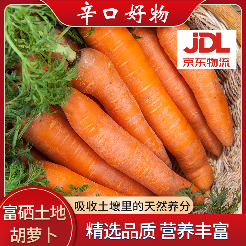 天津辛口镇新鲜胡萝卜现挖胡萝卜农家带泥新鲜胡萝卜爽脆可生吃