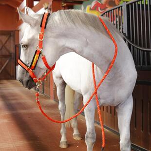 牵马绳缰绳牵引绳加固加粗加长3米马具马术用品8218098