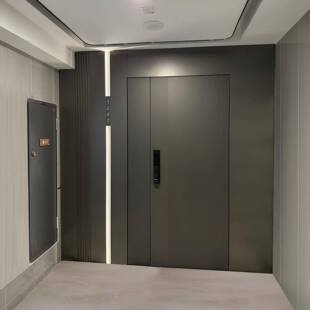 一门一景入户门子母门进户别墅大门自建房门甲级防盗门家用铸铝门