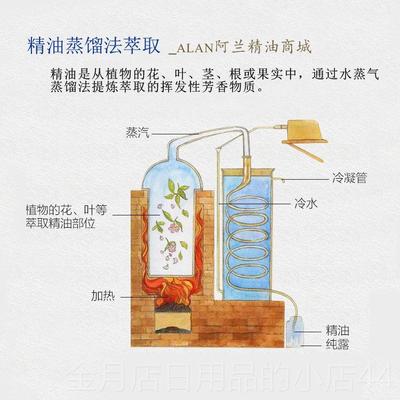 高档法通国百里0香精油10摩ml抗菌抗氧化去屑经抑制落发振奋按单