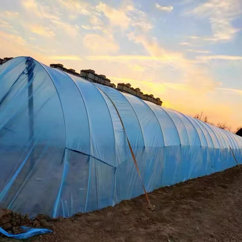 温室塑料保温棚遮阳网支架玻璃纤维杆拱棚竿蔬菜农用大棚骨架