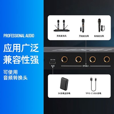 智能全自动一键防啸叫反馈抑制器家用KTV演出移频话筒处理器