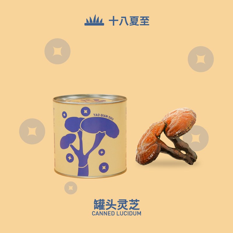 十八夏至灵芝罐头植物小盆栽办公室内桌面绿植儿童情绪稳定好养活