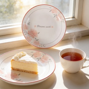 繁华7.5英寸菜盘家用陶瓷高颜值饭盘菜盘釉下彩2025年新款套装