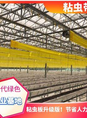 双面苗木粘虫带黄色农业防虫工程绿化农用果树园林业树木诱虫胶带