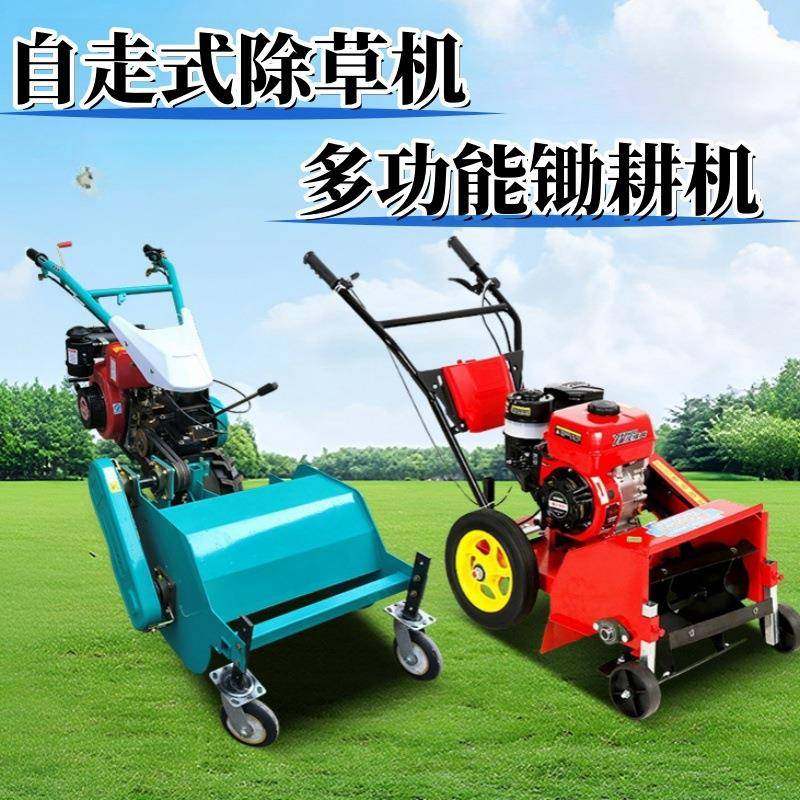 手扶款秸秆粉碎还田机 蔬菜秧杀秧机 汽油柴油果园杂草碎草还田机,鲜花速递/花卉仿真/绿植园艺,割草机/草坪机,淘宝优惠券,粉丝福利购,淘宝优惠卷