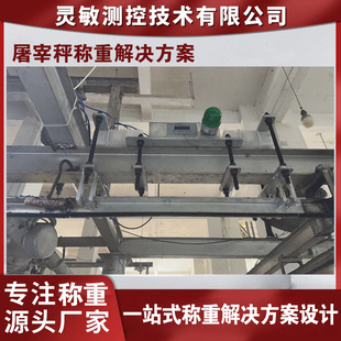 屠宰场轨道秤称重解决方案悬轨单双吊秤商用静动态自动挂钩电子秤