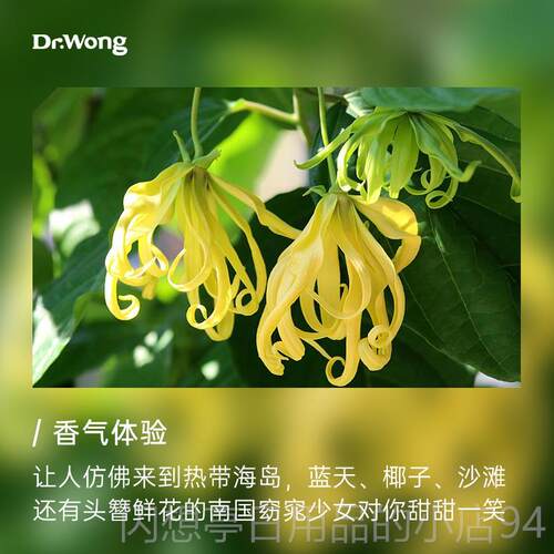 正品Dr然.Wong依兰单方精 天植物香薰扩香 油5m卧室放松舒l压香气