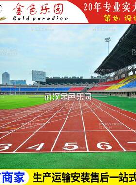 STPD-2209学校运动操场塑胶跑道全透气型跑道塑胶跑道施工图