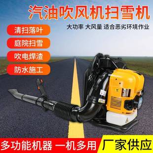 EB9900背负式 大棚汽油吹雪机小型大功率落叶吹风机汽油风力灭火机