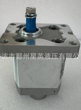 厂家销售液压泵配件CBD1-F203.7L4Z补油泵齿轮泵