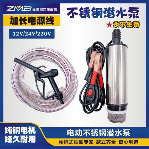 抽油泵柴油12V24伏220V抽水泵电动小型油抽子潜水泵抽油器抽水泵