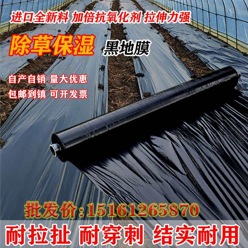 防草地膜农用种植塑料薄膜打孔防长草布除草加厚大棚保温保湿地膜