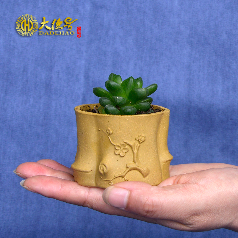 多肉植物紫砂花盆 个性创意微型小盆栽办公桌迷你树桩宜兴小花盆