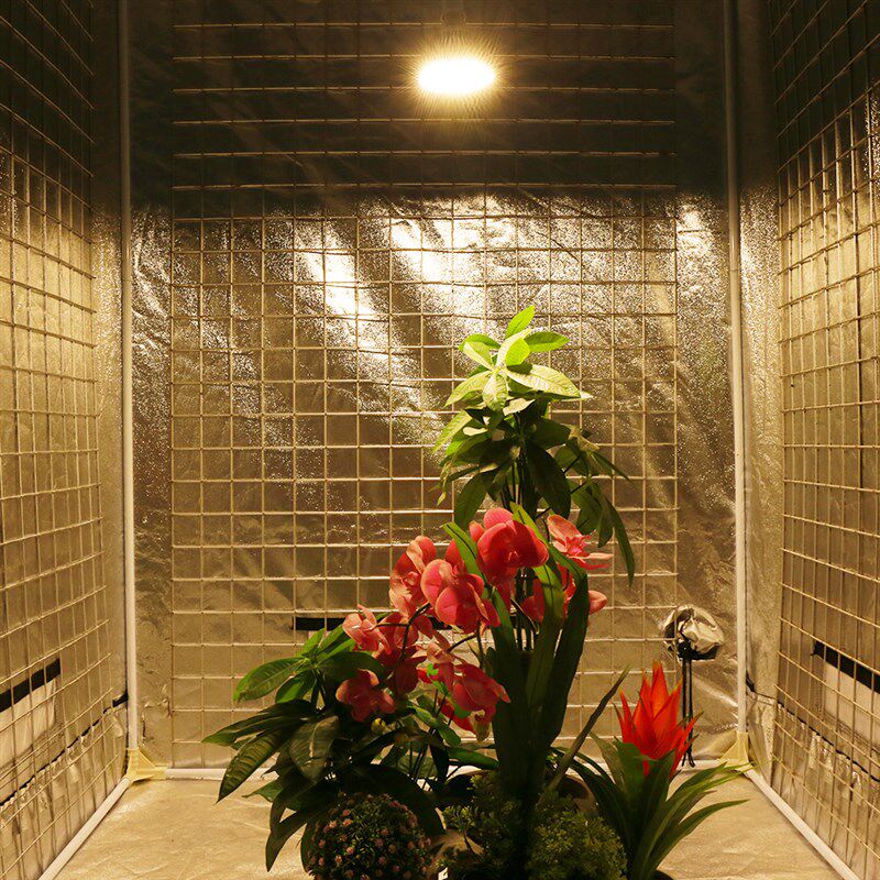 30W 50W 80W 100W 太阳光全光谱LED植物补光灯E27白光多肉花卉灯