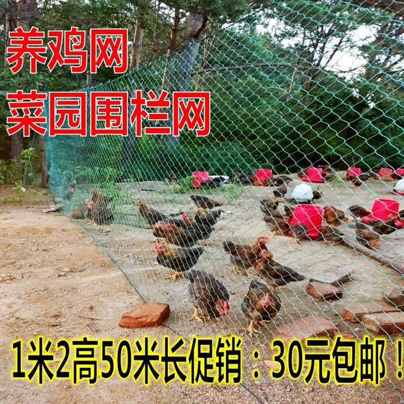 养殖网养鸡网尼龙网拦鸡网围鸡网家禽塑料网护栏网菜园围网防护网
