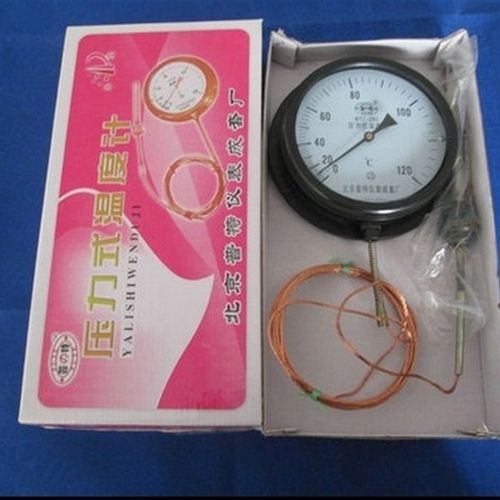 压力式温度计北京普特锅炉表盘式测温WTZ-2型测油测水液体