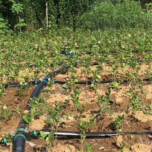 微喷带喷灌带农用滴管滴灌带自动微喷雾化设备水管接头1-4寸 英寸