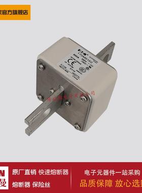 熔断器170M6162 170M6163 170M6164 170M6165 170M6166 170M6167