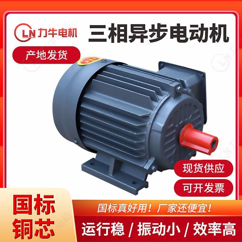 三相异步电动机现货YE2-315L2-8-110w振动电机电动机压缩机